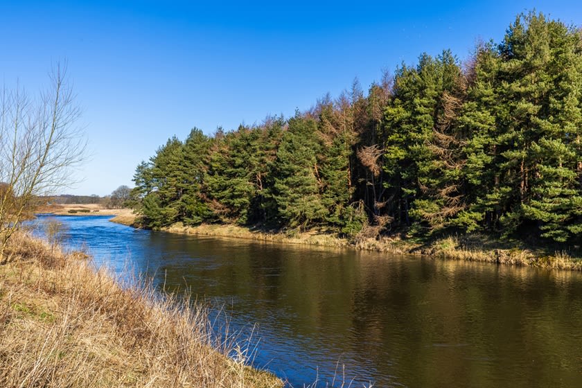 Dwh @ Otter Stone Manor image