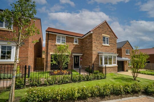 King Edwards Park Morpeth image