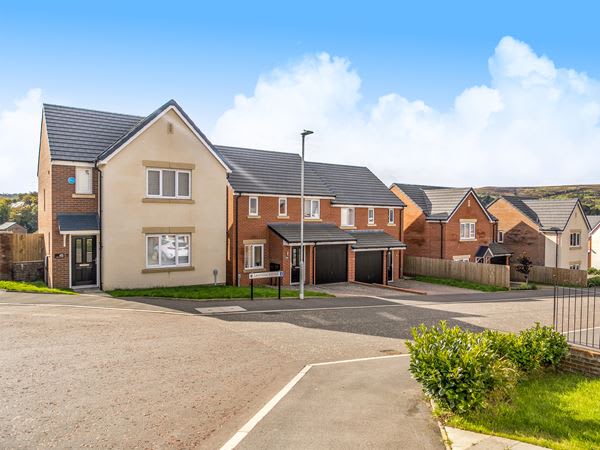 Spring Meadows image