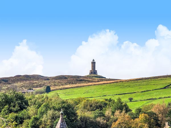 Spring Meadows image