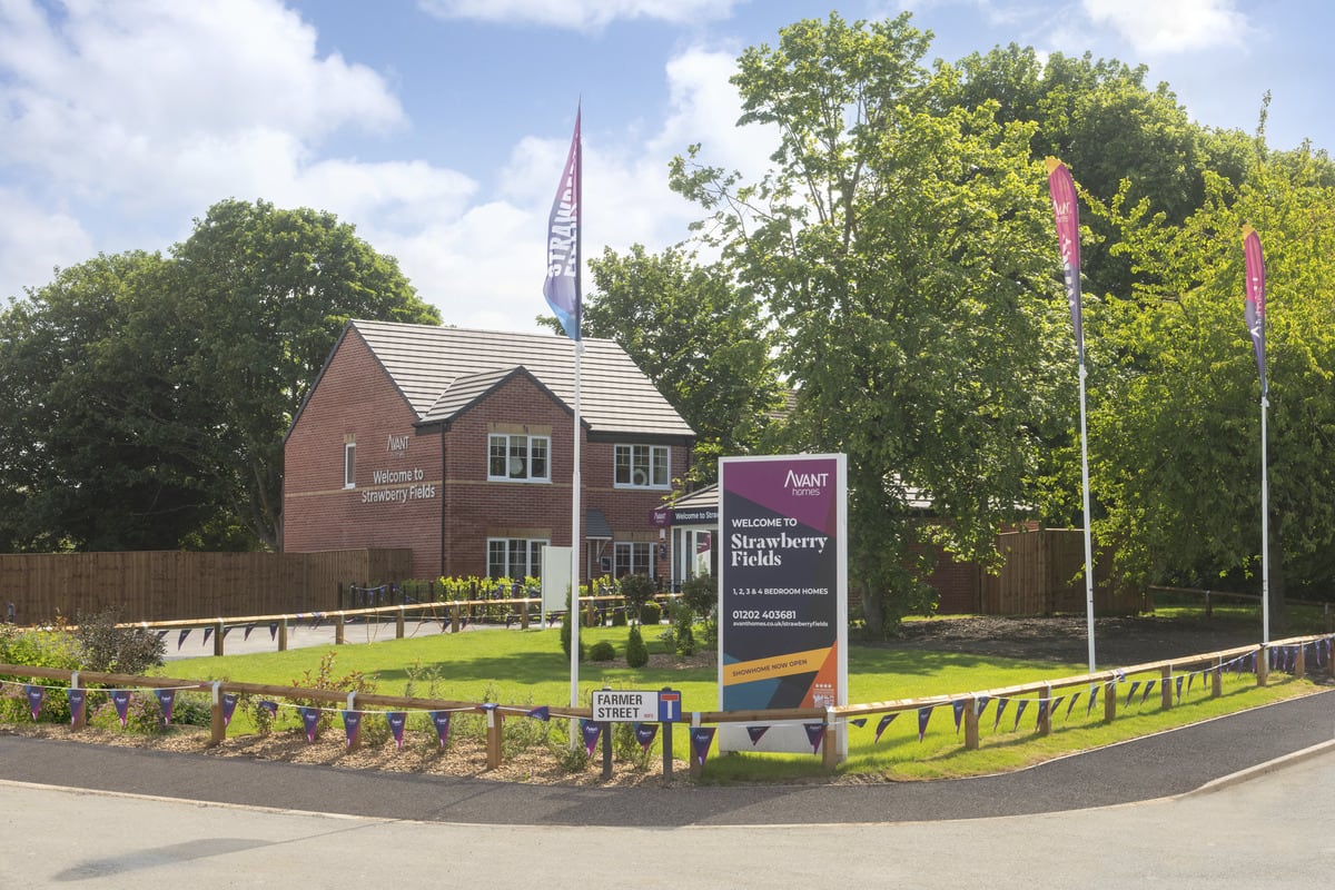 Strawberry Fields image