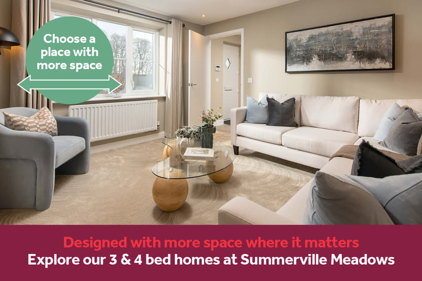 Summerville Meadows image