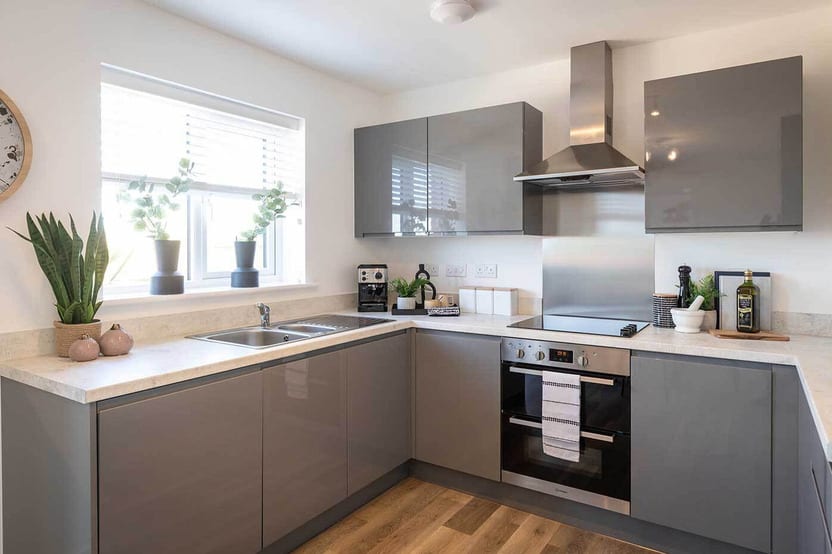 The Pastures Bideford image