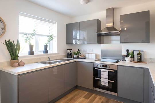 The Pastures Bideford image