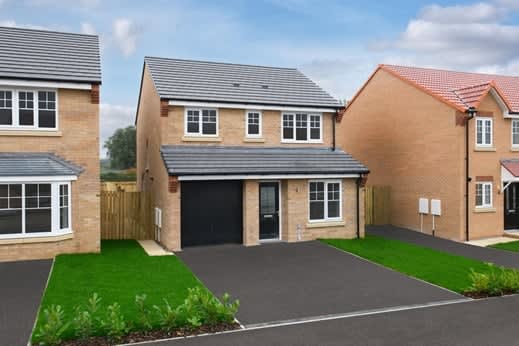 Trinity Fields image