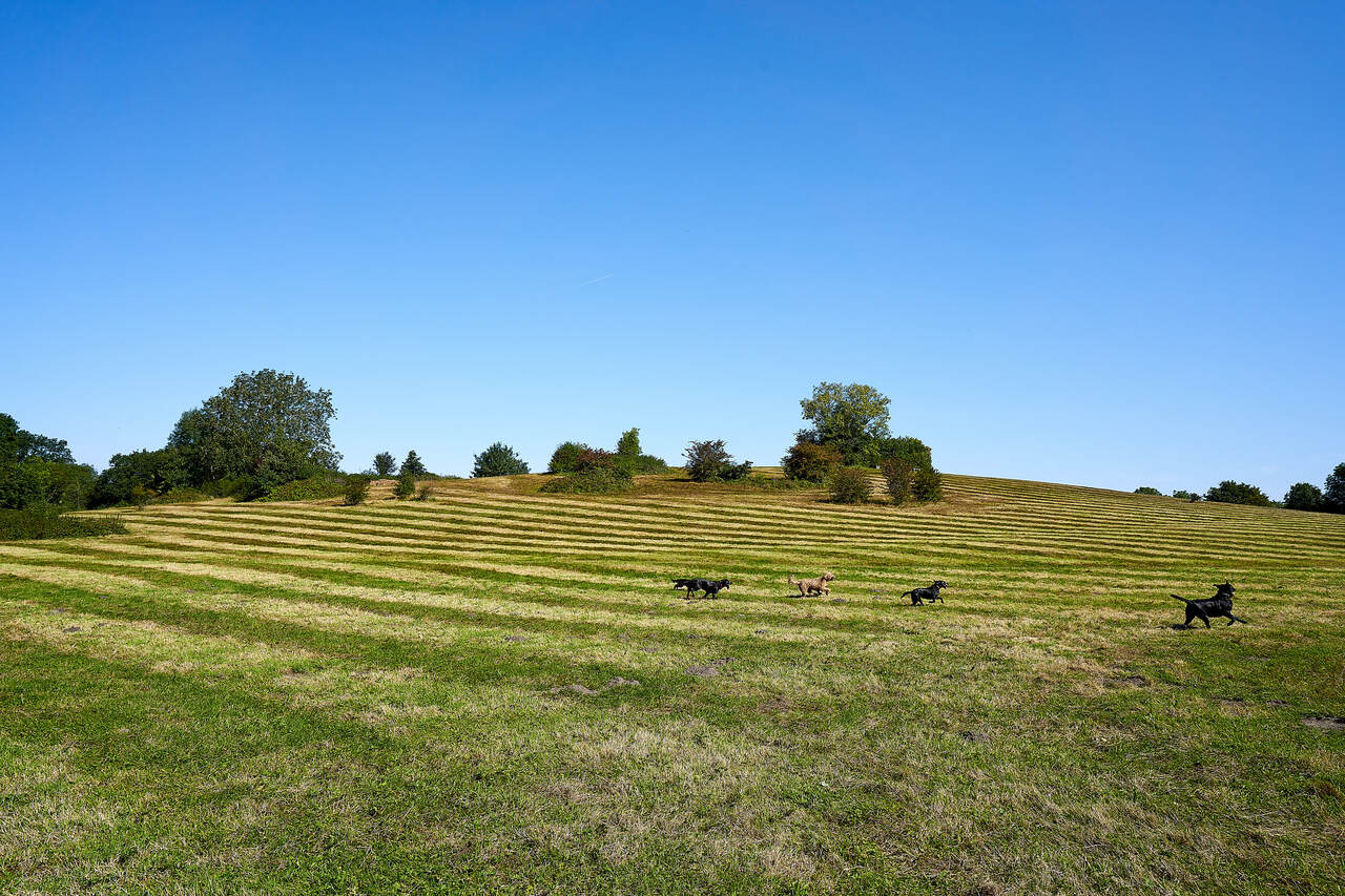 Albany Park Church Crookham Fleet image
