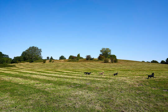 Albany Park Church Crookham Fleet image