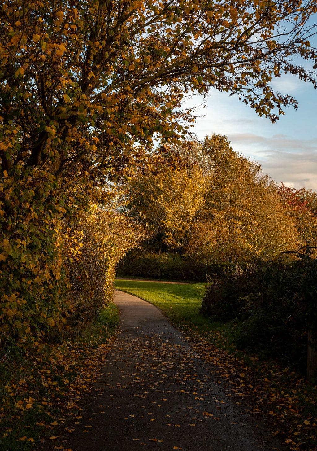 Alkerden Heights image