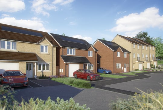 Blue Birch Fields image