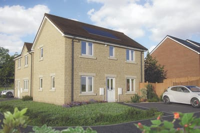 Blue Birch Fields image