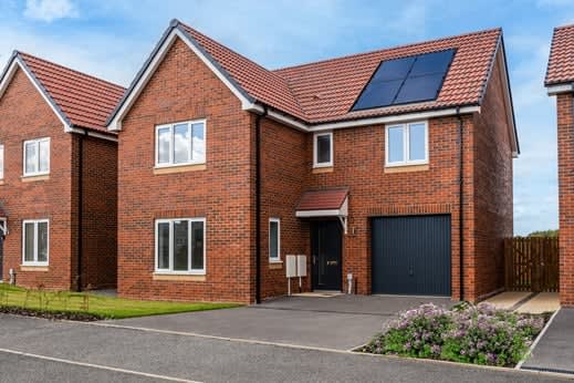 Coatham Gardens image