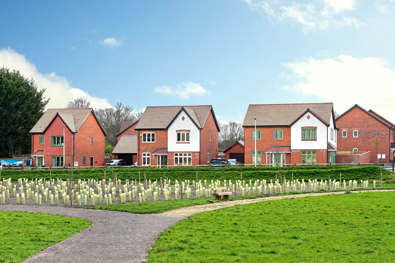 Coronation Fields Wokingham image