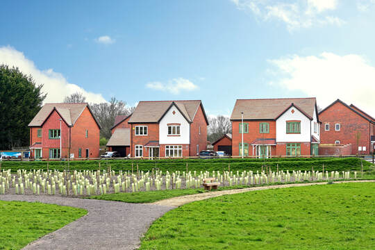Coronation Fields Wokingham image