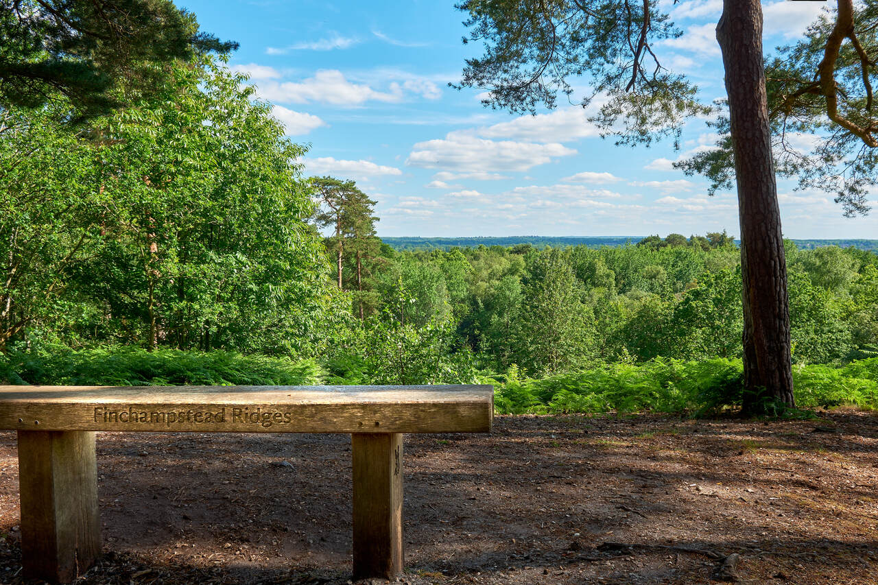 Coronation Fields Wokingham image