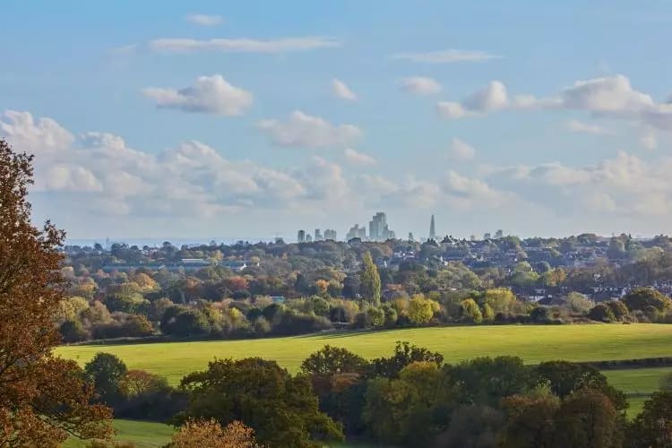 Old Royal Chace image