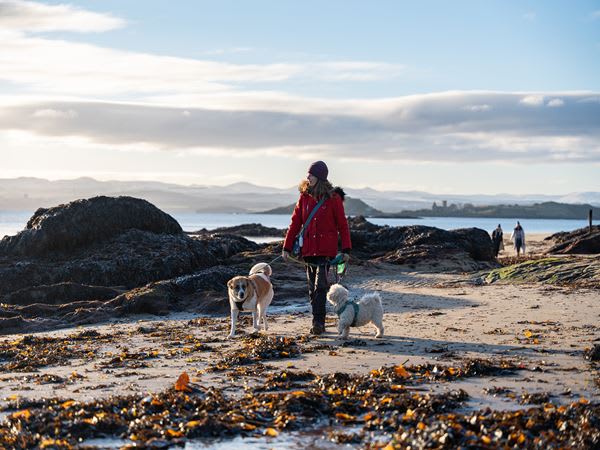 Primrose Gardens image