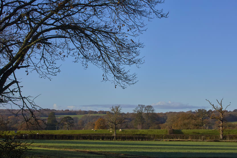 St Nicholas Place Alfold image