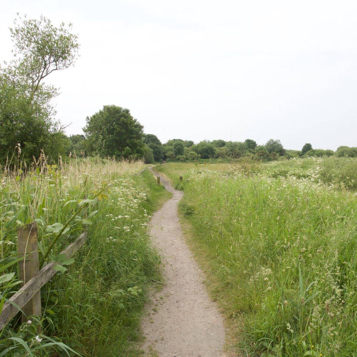 St Wilfrids Place image