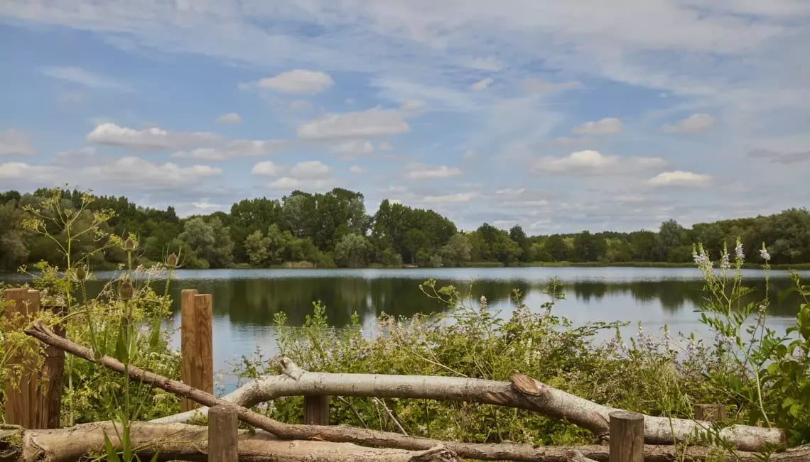 Tavistock Quarter image