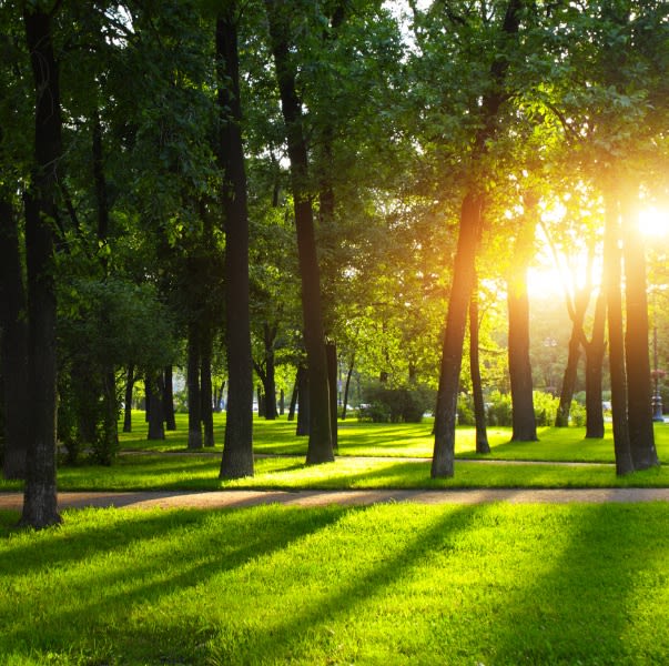 Tavistock Quarter image