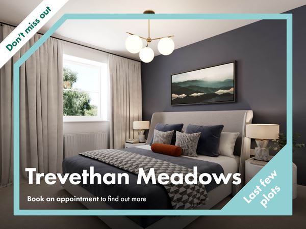 Trevethan Meadows image