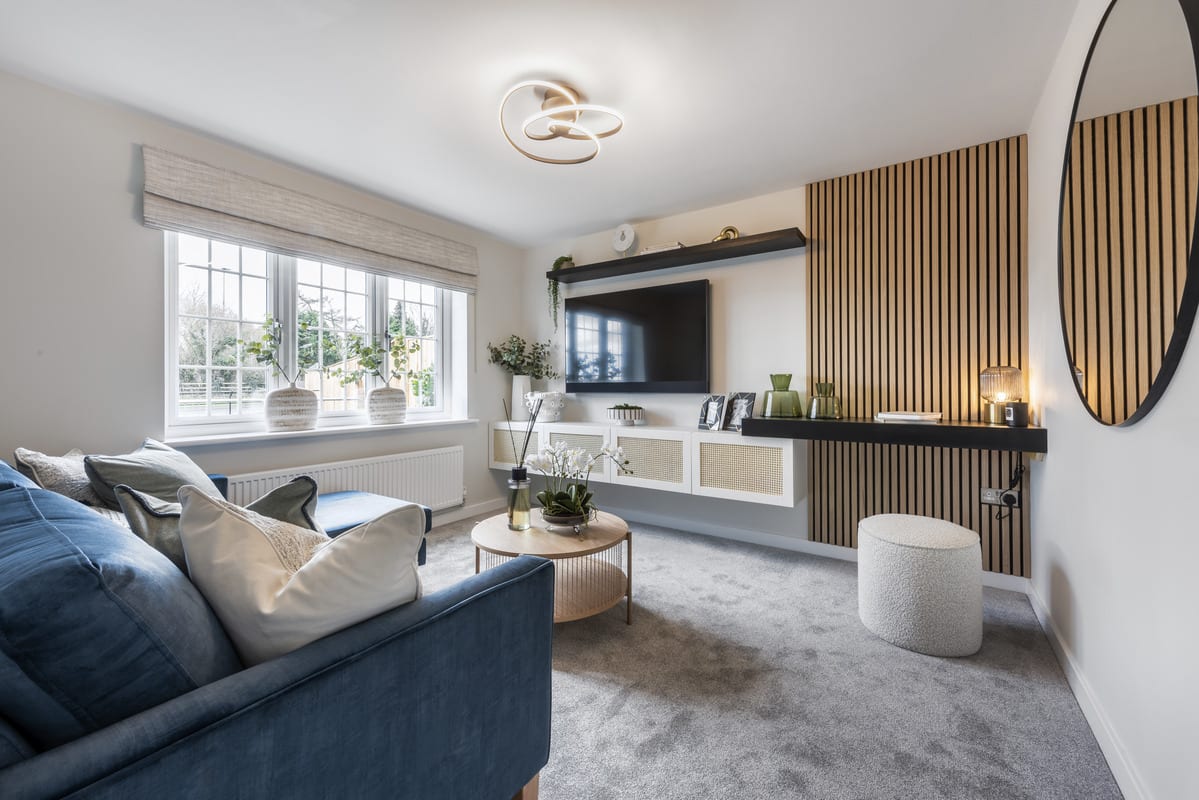 Trinity Fields image