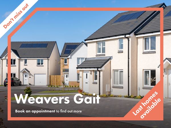 Weavers Gait image