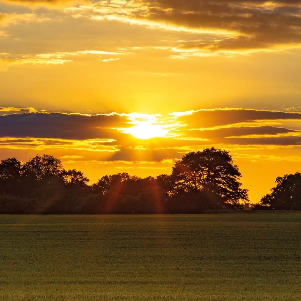 Abercrombie Park image