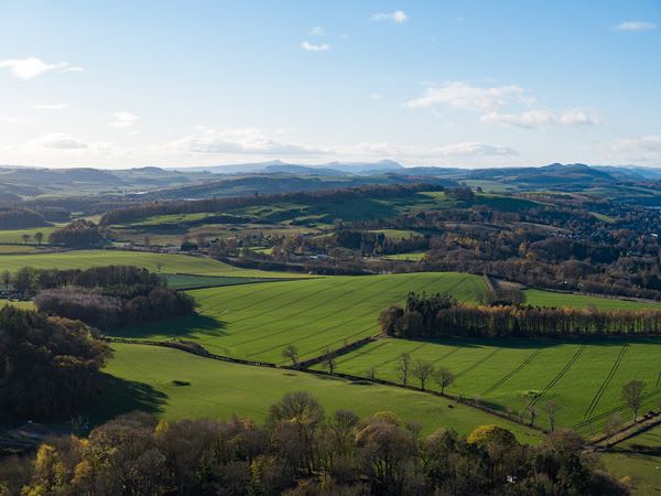 Ballumbie Heights image