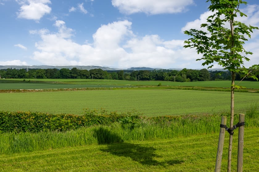 Barratt @ Almond Valley image