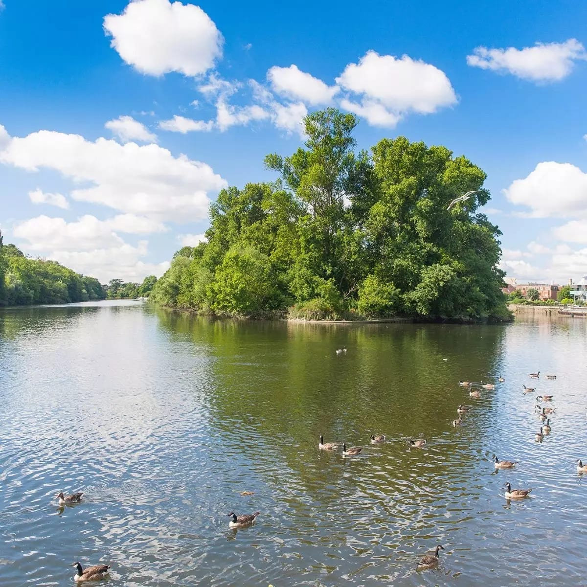 Bellway At Willow Brook