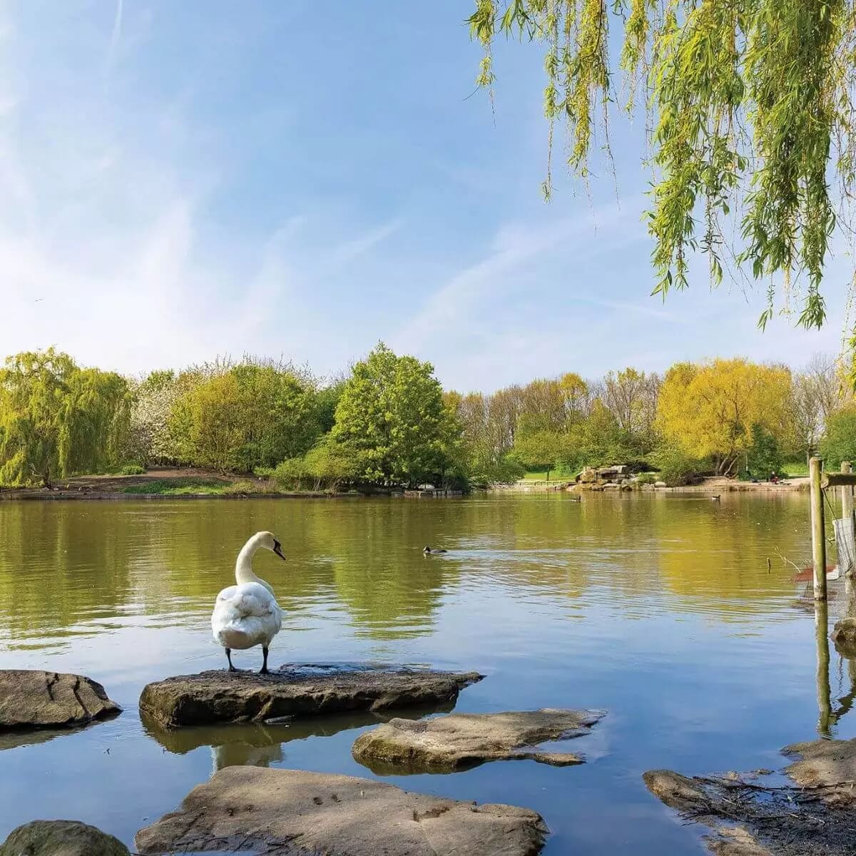 Carnegie Quarter image