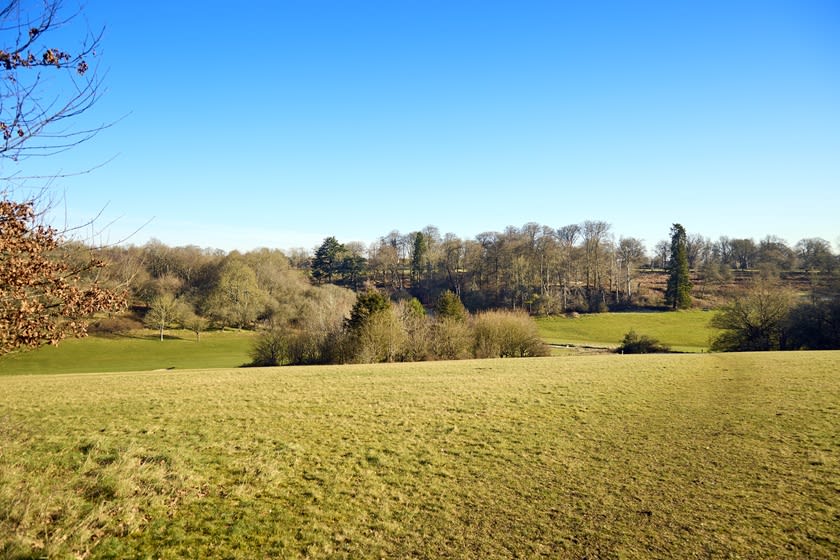 Chaulden Meadows image