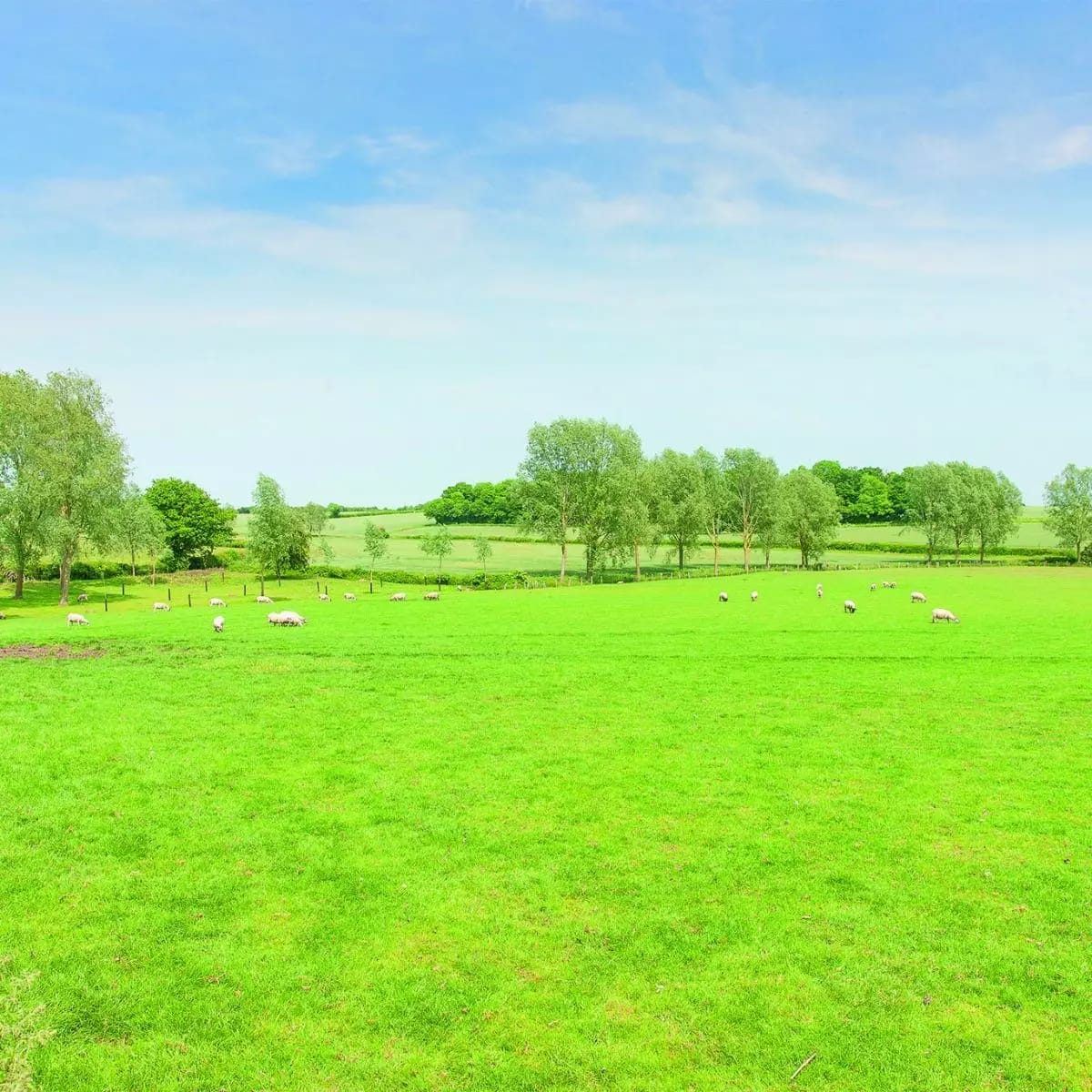 Earlsbrook Court image