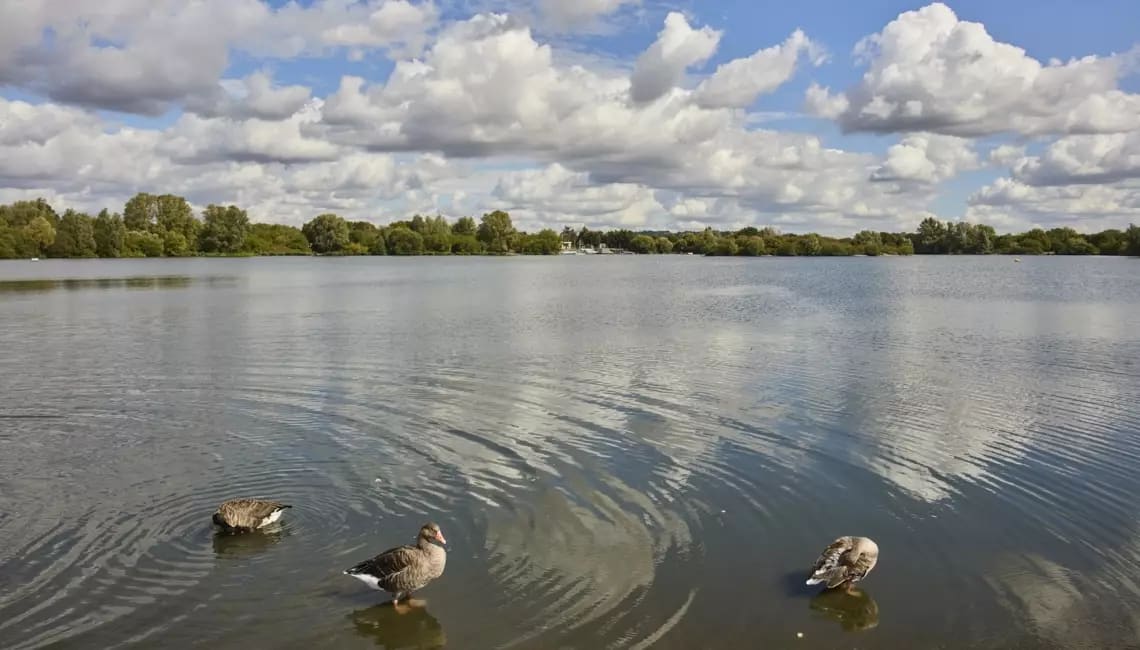 Kingsgate Park image