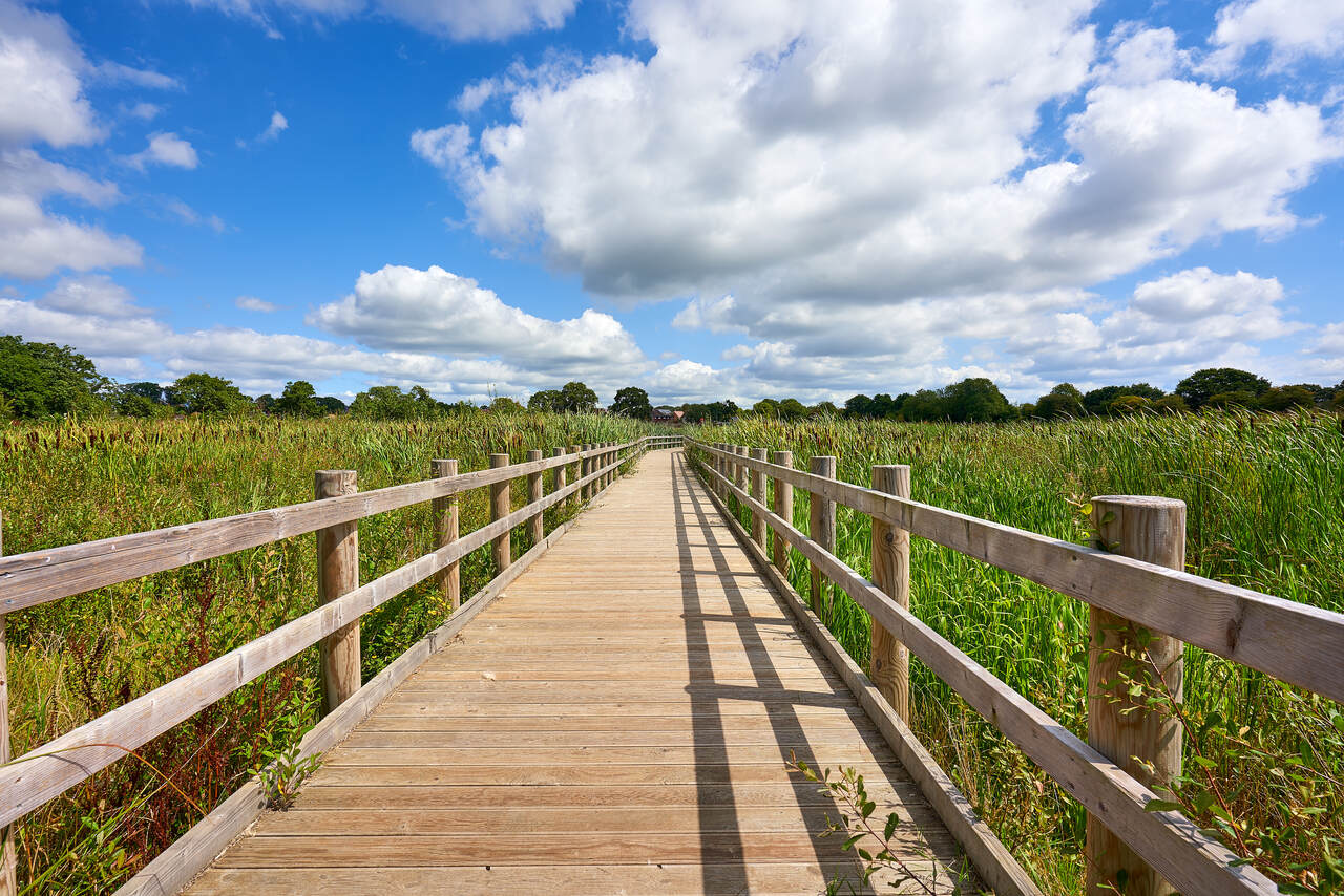 Minerva Heights Chichester image