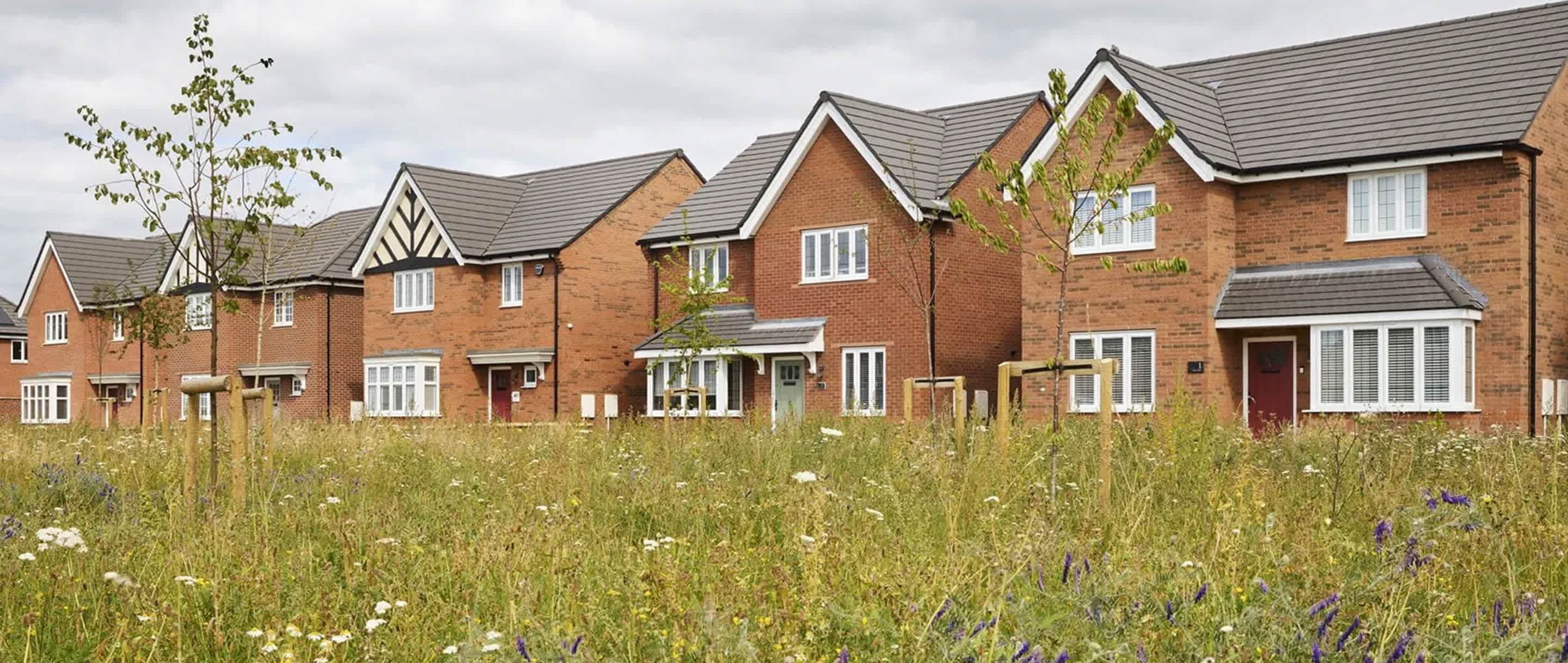 Suttonfields