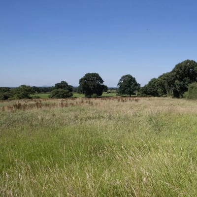 Berry Hill Vale image