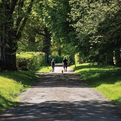 Berry Hill Vale image