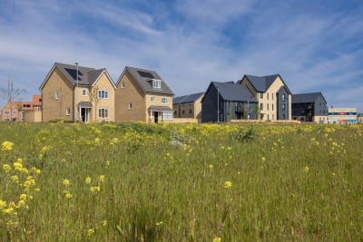 Haddon Green image