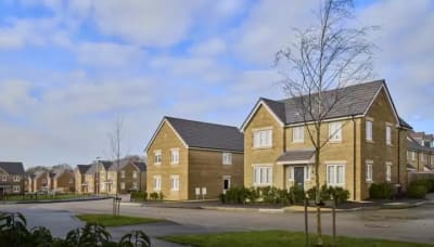 Orchard Fields image
