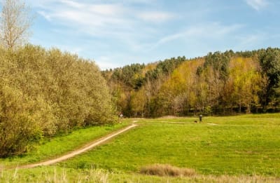 Sitwell Acres image
