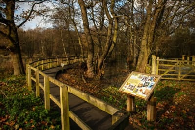 Russet Park image