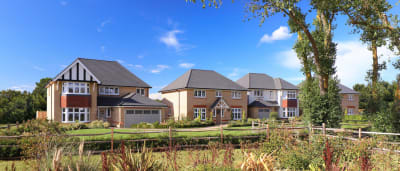 Millview Park Bocking image