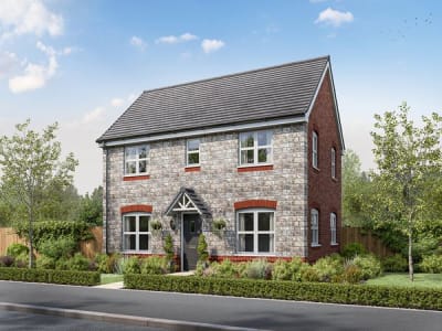 Parc Y Fron image