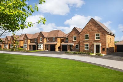 Bluebell Meadows image
