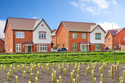 Coronation Fields Wokingham image