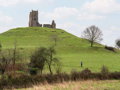 Castle Grove image