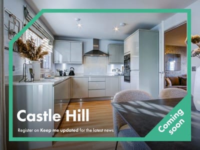 Castle Hill image