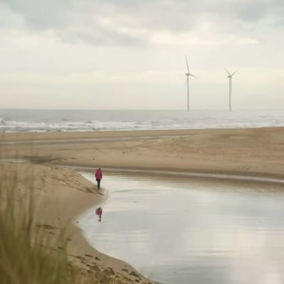Estuary View image